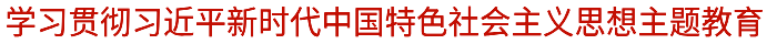 學(xué)習貫徹習近平新時(shí)代中國特色社會(huì )主義思想主題教育.png